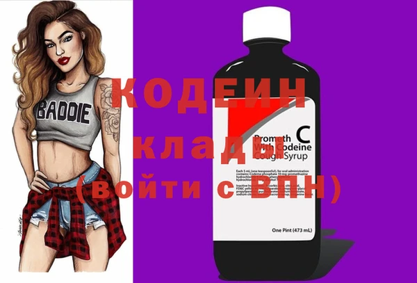 дживик Богородицк