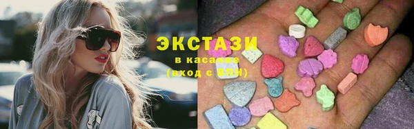 дживик Богородицк