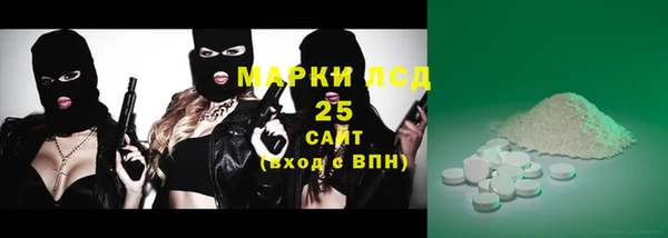 дживик Богородицк