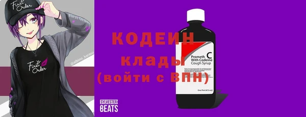 дживик Богородицк
