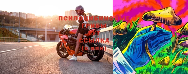 сатива Богданович