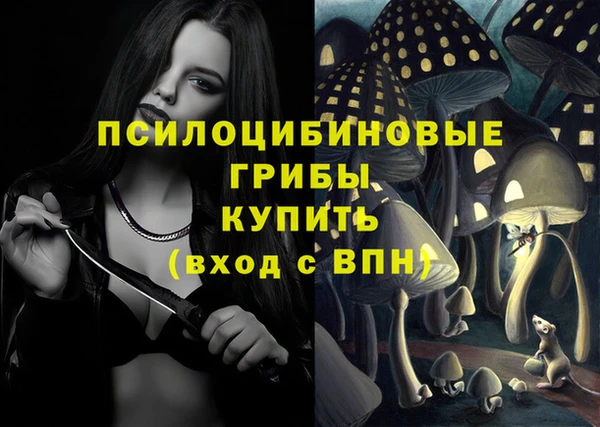дживик Богородицк