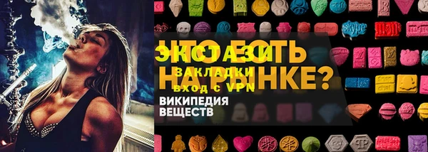 дживик Богородицк