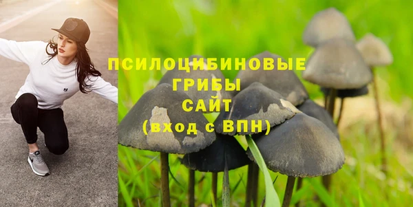 mix Богородск