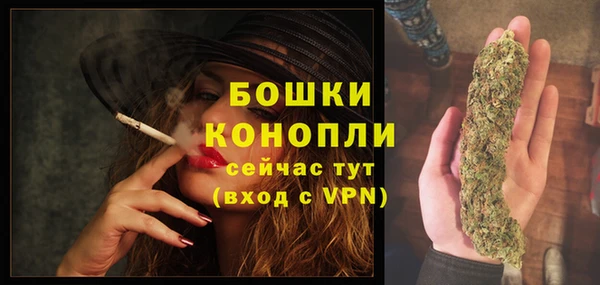 сатива Богданович