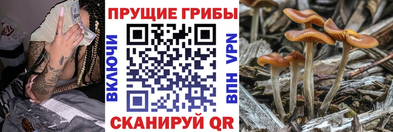 Галлюциногенные грибы мухоморы  KRAKEN как зайти  Городище 
